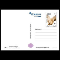 España Tarjetas Del Correo Y De Iniciativa Privada 90 2012 Arquitectura Postal - Covers & Documents