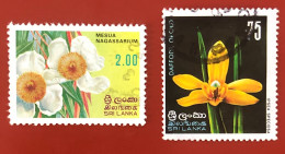 Sri Lanka - Flowers - 1976-1982 - Sri Lanka (Ceylon) (1948-...)