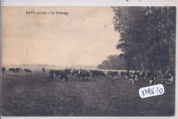 ERVY- LE PATURAGE- LES VACHES - Ervy-le-Chatel