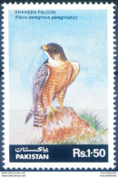 Fauna. Falco 1986. - Pakistan