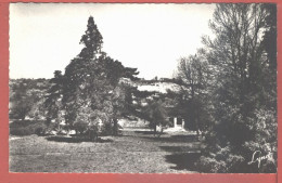 2363 / ⭐ GROSLAY 95-Val Oise  Parc De La Mairie Vue Coteaux 1950s Photo-Bromure ABEILLE 2 CPSM P.F 15x10 - Groslay