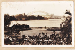 2319 / ⭐ ♥️  (•◡•) Peu Commun N.S.W SYDNEY HARBOUR Bridge From Botanical Gardens 1920s  - Sydney
