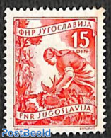 Yugoslavia 1951 Stamp Out Of Set, Mint NH, Nature - Flowers & Plants - Nuovi
