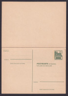 Berlin Ganzsache P 69 Bauwerke 20P F. Lorsch Hessen Luxus Frage & Antwort - Postcards - Used
