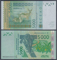 Costa De Marfil 5000 Francs 2003 Billete Sin Circular - Other - Africa