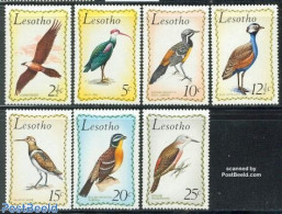 Lesotho 1971 Birds 7v, Mint NH, Nature - Birds - Woodpeckers - Lesotho (1966-...)