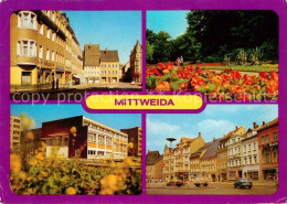 73040895 Mittweida Markt Park Am Schwanenteich Poliklinik Mittweida - Mittweida