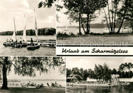 73037871 Scharmuetzelsee Strand Panorama Scharmuetzelsee - Bad Saarow