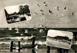 73037386 Zingst Ostseebad Moewen Strand Hafen Zingst Ostseebad - Zingst