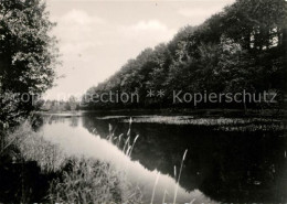 73034162 Neudorf Harzgerode Grenzteich Neudorf Harzgerode - Harzgerode