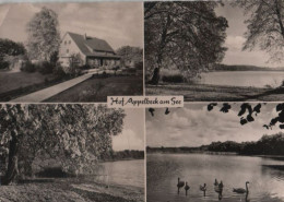 56029 - Hollenstedt - Hof Appelbeck - 1964 - Hollenstedt
