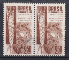 1960 Brasilien ° Mi:BR 986, Sn:BR 909, Yt:BR 694, Centenary Of Brazilian Ministry Of Agriculture, Landwirtschaft - Oblitérés