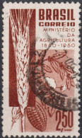 1960 Brasilien ° Mi:BR 986, Sn:BR 909, Yt:BR 694, Centenary Of Brazilian Ministry Of Agriculture, Landwirtschaft - Gebruikt