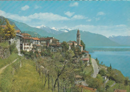 U5640 Ronco Sopra Ascona - Panorama Sul Lago Maggiore / Non Viaggiata - Ronco Sopra Ascona