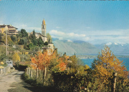 U5641 Ronco Sopra Ascona - Panorama Sul Lago Maggiore / Non Viaggiata - Ronco Sopra Ascona