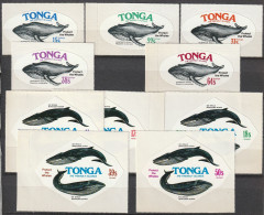 Tonga  1977   Whales 10V  MNH - Sonstige & Ohne Zuordnung