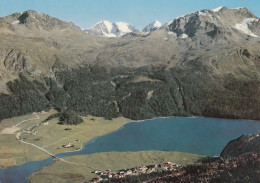 U5650 Silvaplana - Surlej Mit Bernina Und Piz Corvatsch - Panorama / Non Viaggiata - Silvaplana