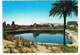 AFR-1710  LUXOR-KARNAK : Sacred Lake - Luxor