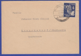 DDR 1950 Mi.-Nr. 276 Als EF Auf Brief Gel. Von Meerane Nach Neugersdorf - Other & Unclassified