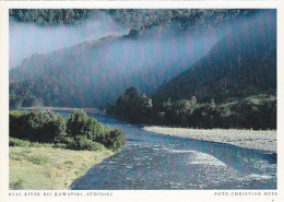 AK 206710 NEW ZEALAND - Bull River Bei Kawatiri - Südinsel - Nouvelle-Zélande