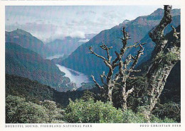 AK 206712 NEW ZEALAND - Doubtful Sound - Fiordland National Park - Nouvelle-Zélande