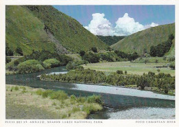 AK 206721 NEW ZEALAND - Fluss Bei St. Arnaud - Nelson Lakes National Park - Nouvelle-Zélande
