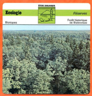 Fiche Ecologie Foret Historique De Bialowieza Réserves  Etude Zoologique Biotopes - Aardrijkskunde