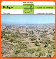 Fiche Ecologie Les Savanes Africaines Illustration Savane Tanzanie  Etude Zoologique Biotopes - Geografia