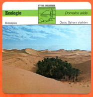 Fiche Ecologie Oasis Sahara Algérien  Illustration Oasis  Domaine Aride Etude Zoologique Biotopes - Aardrijkskunde