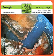 Fiche Ecologie Mer Rouge Golfe D'Aden  Illustration Mer Rouge Golfe Aden  Géomorphologie Etude Zoologique - Geografia