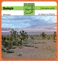 Fiche Ecologie Un Désert En Arizona Domaine Aride Etude Zoologique Biotopes - Géographie