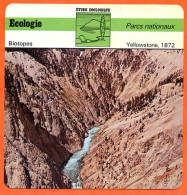 Fiche Ecologie Yellowstone 1872 Wyoming Parc Nationaux Etude Zoologique Biotopes - Geografia