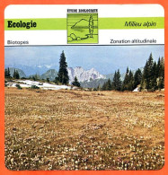 Fiche Ecologie  Zonation Altitudinale Illustration Val Ferret Milieu Alpin Etude Zoologique Biotopes - Geografia