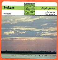 La Camargue C'est Un Delta Illustration Flamant Roses Biogéographie Etude Zoologique Biotopes Fiche Ecologie - Aardrijkskunde