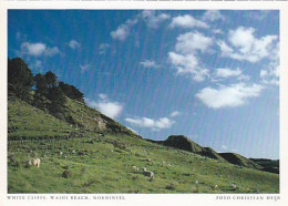 AK 206731 NEW ZEALAND - White Cliffs - Waihi Beach - Nordinsel - Nouvelle-Zélande