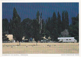 AK 206732 NEW ZEALAND - Farmhaus In Hawea - Südinsel - New Zealand
