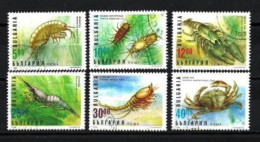 Animaux Crustacés Bulgarie 1996 (85) Yvert N° 3682 à 3687 Oblitérés Used - Crustaceans