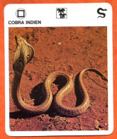 COBRA INDIEN Reptiles Animal Serpent Fiche Illustree Documentée - Tiere