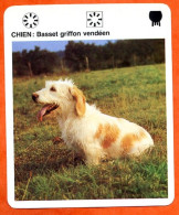 CHIEN BASSET GRIFFON VENDEEN Animaux  Animal Chiens Dog Hund Fiche Illustree Documentée - Tiere