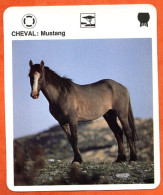 CHEVAL MUSTANG  Chevaux Animaux  Animal Fiche Illustree Documentée - Tiere
