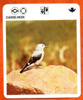 CASSE NOIX   Animaux  Oiseaux Animal  Oiseau Fiche Illustree Documentée - Tiere