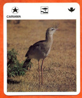 CARIAMA  Animaux  Oiseaux Animal  Oiseau Fiche Illustree Documentée - Tiere
