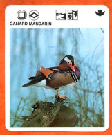 CANARD MANDARIN  Animaux  Oiseaux Animal  Oiseau Fiche Illustree Documentée - Tiere