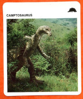 CAMPTOSAURUS  Animaux Préhistoriques Dinosaure Animal Fiche Illustree Documentée - Tiere