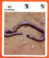 CALABARIA  Reptiles Animal Serpent Fiche Illustree Documentée - Tiere