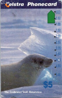 6-3-2024 (Phonecard) Crabeater Seal - Antarctica $ 5.00 Phonecard - Carte De Téléphoone (1 Card) - Australie