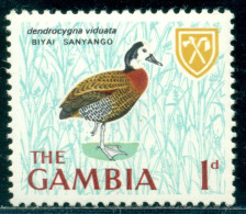 1966 Birds,The White-faced Whistling Duck (Dendrocygna Viduata),Gambia,211,MNH - Entenvögel