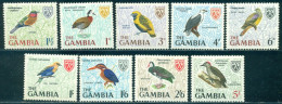 1966 Birds,woodpecker,kingfisher,roller,duck,goose,pigeon,eagle,Gambia,210,MNH - Passereaux