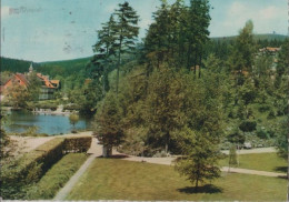 74192 - Braunlage - Kurpark Mit Blick Auf Gondelteich - 1964 - Braunlage