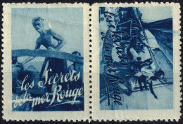FRANCE (ca.1931) - 2 Vignettes Se-tenant "Les Secrets De La Mer Rouge" (Henry De Monfreid) - Neufs ** - Andere & Zonder Classificatie